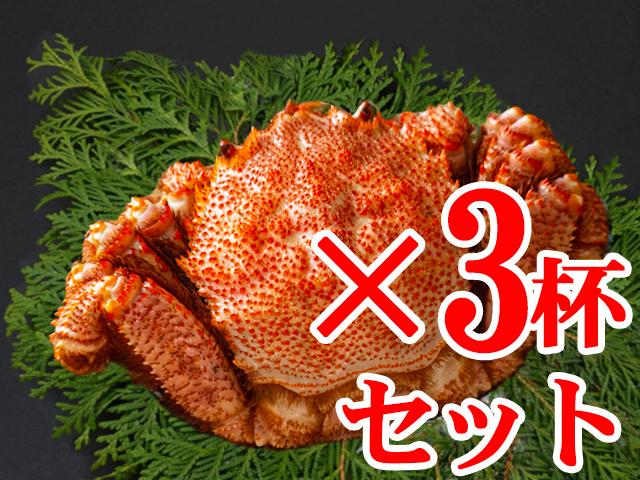 毛がに姿特大サイズ（ボイル･冷凍）570g前後×3杯セット