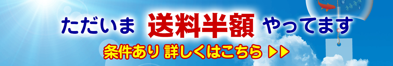 送料半額